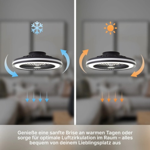 Lampa sufitowa LED BRILLIANT Palmero z wentylatorem 40W czarna pilot