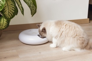 Automatyczna miska dla kota, psa - 6x180ml ustawianie konkretnej godziny lub konkretny zakres czasu między podaniem